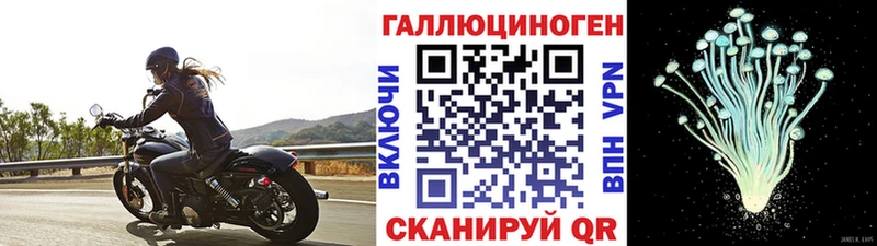 Галлюциногенные грибы мицелий  blacksprut онион  Медногорск 